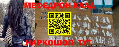 сатива Новозыбков