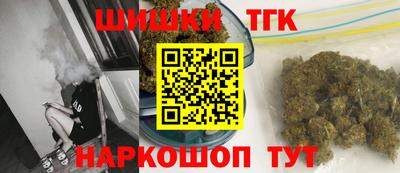 сатива Новозыбков