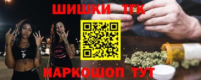 сатива Новозыбков