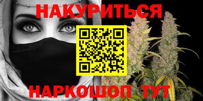 сатива Новозыбков