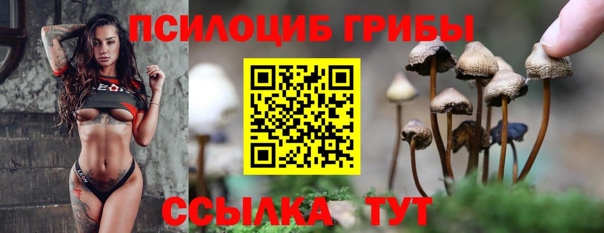 Усть-Илимск  цена   Псилоцибиновые грибы Cubensis  Вход с VPN  Псилоцибиновые грибы Psilocybe 